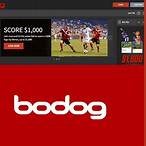 bodog bet